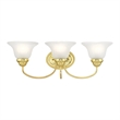 Livex Lighting Edgemont Bath Light in Polished Brass