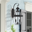 Livex Lighting Monterey 2-Light Brass Outdoor Wall Lantern in Black