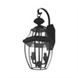 Livex Lighting Monterey 2-Light Brass Outdoor Wall Lantern in Black