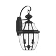 Livex Lighting Monterey 2-Light Brass Outdoor Wall Lantern in Black