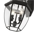 Livex Lighting Monterey 2-Light Brass Outdoor Wall Lantern in Black