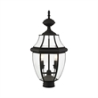 Livex Lighting Monterey 2-Light Brass/Glass Outdoor Post Top Lantern in Black