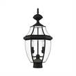 Livex Lighting Monterey 2-Light Brass/Glass Outdoor Post Top Lantern in Black