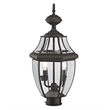 Livex Lighting Monterey 2-Light Brass/Glass Outdoor Post Top Lantern in Bronze
