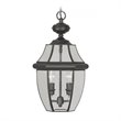 Livex Lighting Monterey 2 Light Outdoor Chain Hang in Black