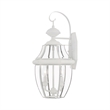 Livex Lighting Monterey 2-Light Brass Outdoor Wall Lantern in White