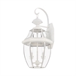 Livex Lighting Monterey 2-Light Brass Outdoor Wall Lantern in White