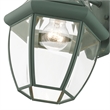 Livex Lighting Monterey 1-Light 100W Brass Outdoor Wall Lantern in Green