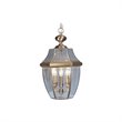 Livex Lighting Monterey Outdoor Chain Hang in Antique Brass