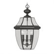 Livex Lighting Monterey Outdoor Chain Hang in Black