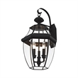 Livex Lighting Monterey 3-Light Brass Outdoor Wall Lantern in Black