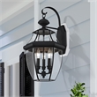 Livex Lighting Monterey 3-Light Brass Outdoor Wall Lantern in Black