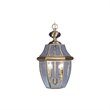 Livex Lighting Monterey 2 Light Outdoor Chain Hang in Antique Brass