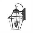 Livex Lighting Westover 2-Light Brass Outdoor Wall Lantern in Black