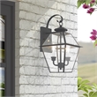 Livex Lighting Westover 2-Light Brass Outdoor Wall Lantern in Black