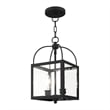 Livex Lighting Milford 2 Light Black Chain Hang/Ceiling Mount