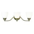 Livex Lighting Somerville Bath Light in Antique Brass