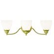 Livex Lighting Somerville Bath Light in Polished Brass