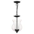 Livex Lighting 2 Light Black Chain Hang/Ceiling Mount
