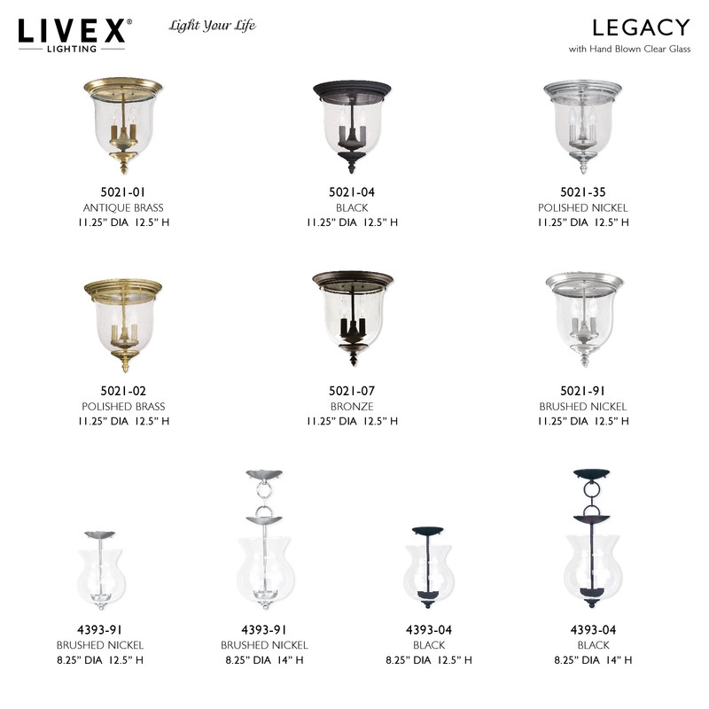 Livex Lighting 2 Light Black Chain Hang/Ceiling Mount