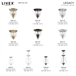 Livex Lighting 2 Light Black Chain Hang/Ceiling Mount