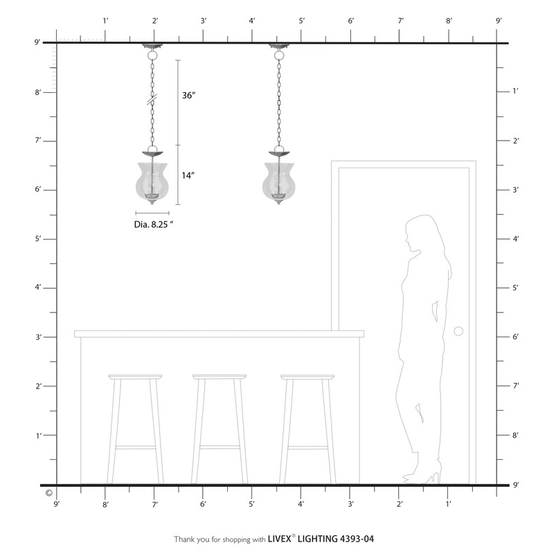 Livex Lighting 2 Light Black Chain Hang/Ceiling Mount