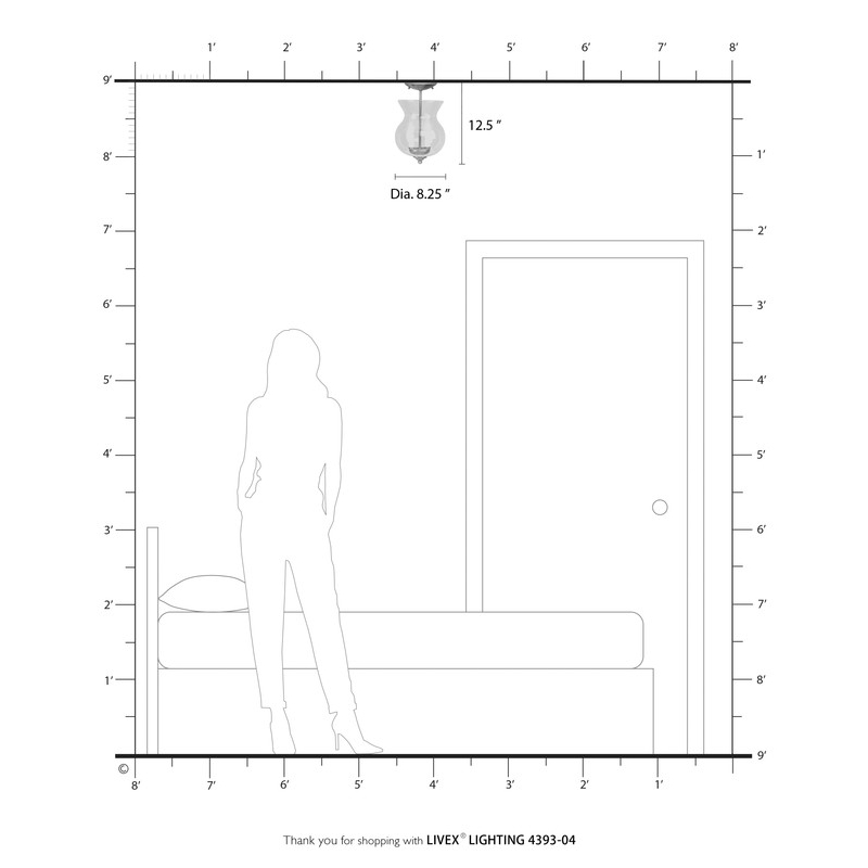 Livex Lighting 2 Light Black Chain Hang/Ceiling Mount