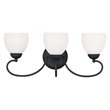 Livex Lighting Brookside Bath Light in Black