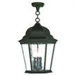 Livex Lighting Hamilton Outdoor Chain-Hang Lantern in Textured Black