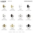 Livex Lighting Wall Sconce in Polished Brass