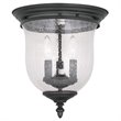 Livex Lighting Legacy Ceiling Mount in Black