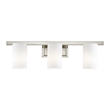 Livex Lighting Astoria 3-Light Metal & Glass Bath Light in Brushed Nickel