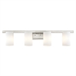 Livex Lighting Astoria 4-Light Metal & Glass Bath Light in Brushed Nickel