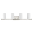 Livex Lighting Astoria 4-Light Metal & Glass Bath Light in Brushed Nickel