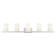 Livex Lighting Astoria 5-Light Metal & Glass Bath Light in Brushed Nickel