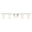 Livex Lighting Astoria 5-Light Metal & Glass Bath Light in Brushed Nickel