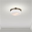 Livex Lighting Stratus 2 Light Brushed Nickel Ceiling Mount or Wall Mount
