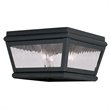 Livex Lighting Exeter 2 Light Outdoor Ceiling Mount in Charcoal