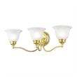 Livex Lighting Essex Bath Light in Polished Brass