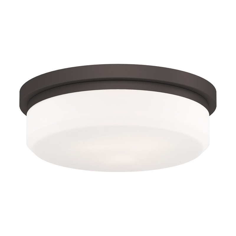Livex Lighting Ceiling Mount or Wall Mount