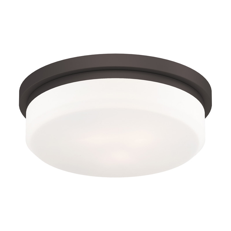 Livex Lighting Ceiling Mount or Wall Mount