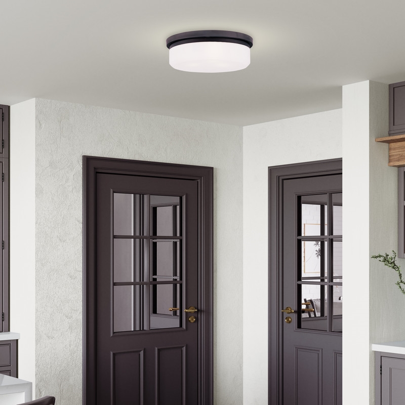 Livex Lighting Ceiling Mount or Wall Mount