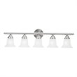 Livex Lighting Neptune Bath Light in Brushed Nickel
