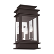 Livex Lighting Princeton 2-Light Brass & Glass Outdoor Wall Lantern in Bronze