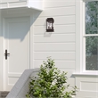 Livex Lighting Princeton 2-Light Brass & Glass Outdoor Wall Lantern in Bronze