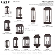 Livex Lighting Princeton 2-Light Brass & Glass Outdoor Wall Lantern in Bronze