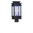 Livex Lighting Princeton 2 Light Outdoor Post Head in Bronze