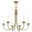 Livex Lighting Cranford Chandelier in Antique Brass