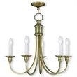 Livex Lighting Cranford Chandelier in Antique Brass