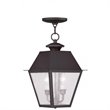 Livex Lighting Mansfield 2 Light Outdoor Chain Hang in Bronze